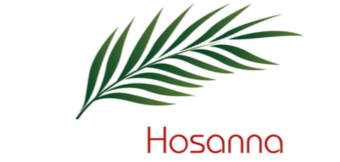 paroisse saint francois des coteaux - vertou - semaine sainte - hosanna