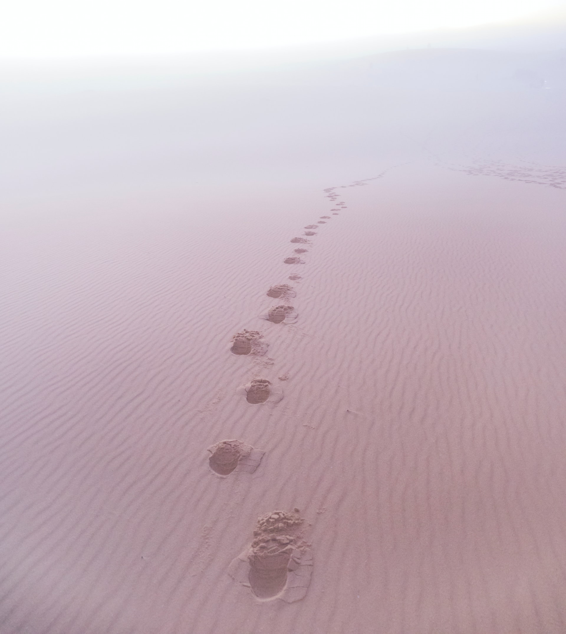 En chemin vers Pâques – Enfants