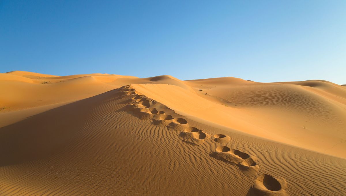 paroisse-saint-francois-des-coteaux-vertou-careme-2026